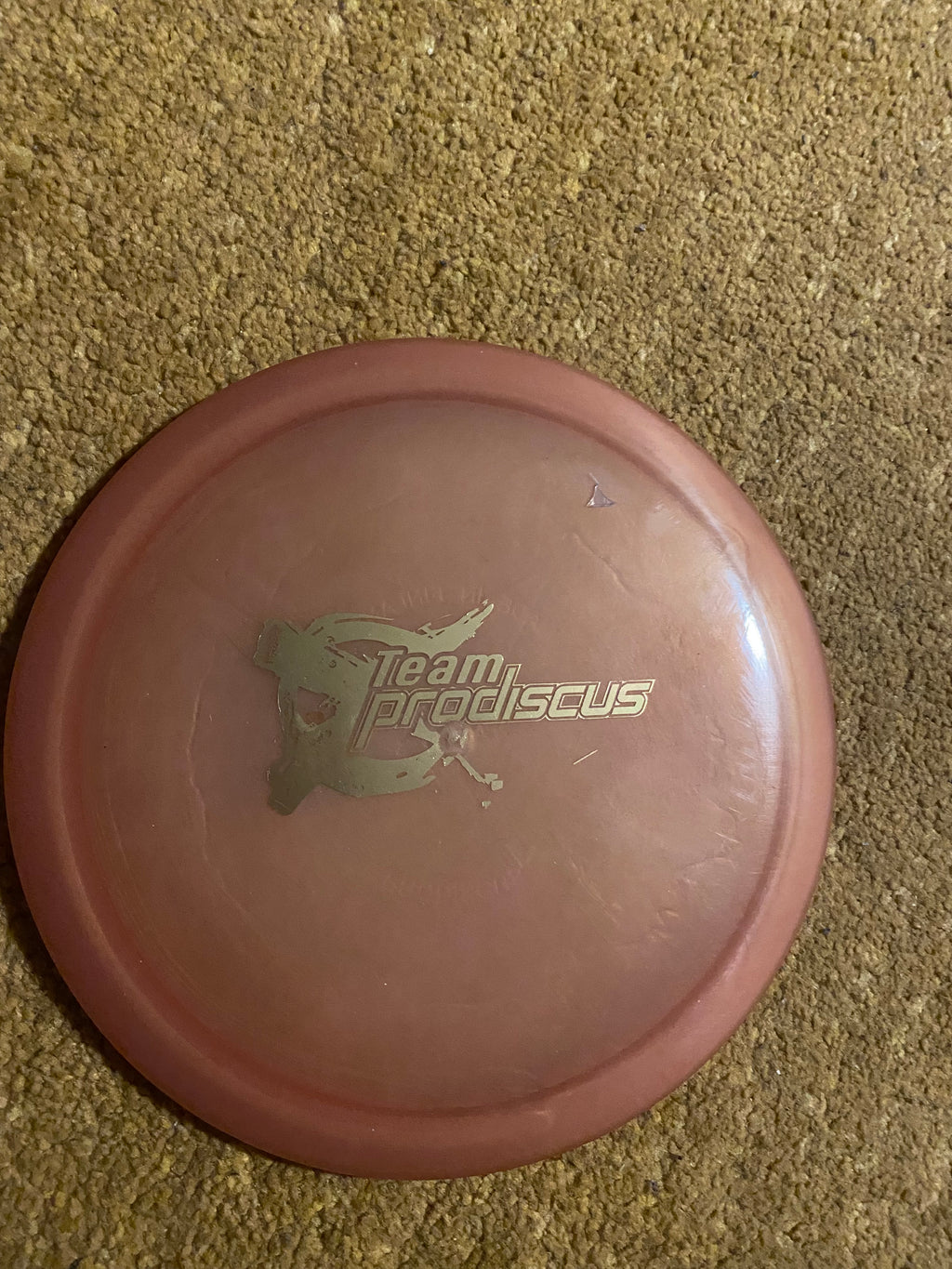 Prodiscus Team stamp Lazeri (UUSI)