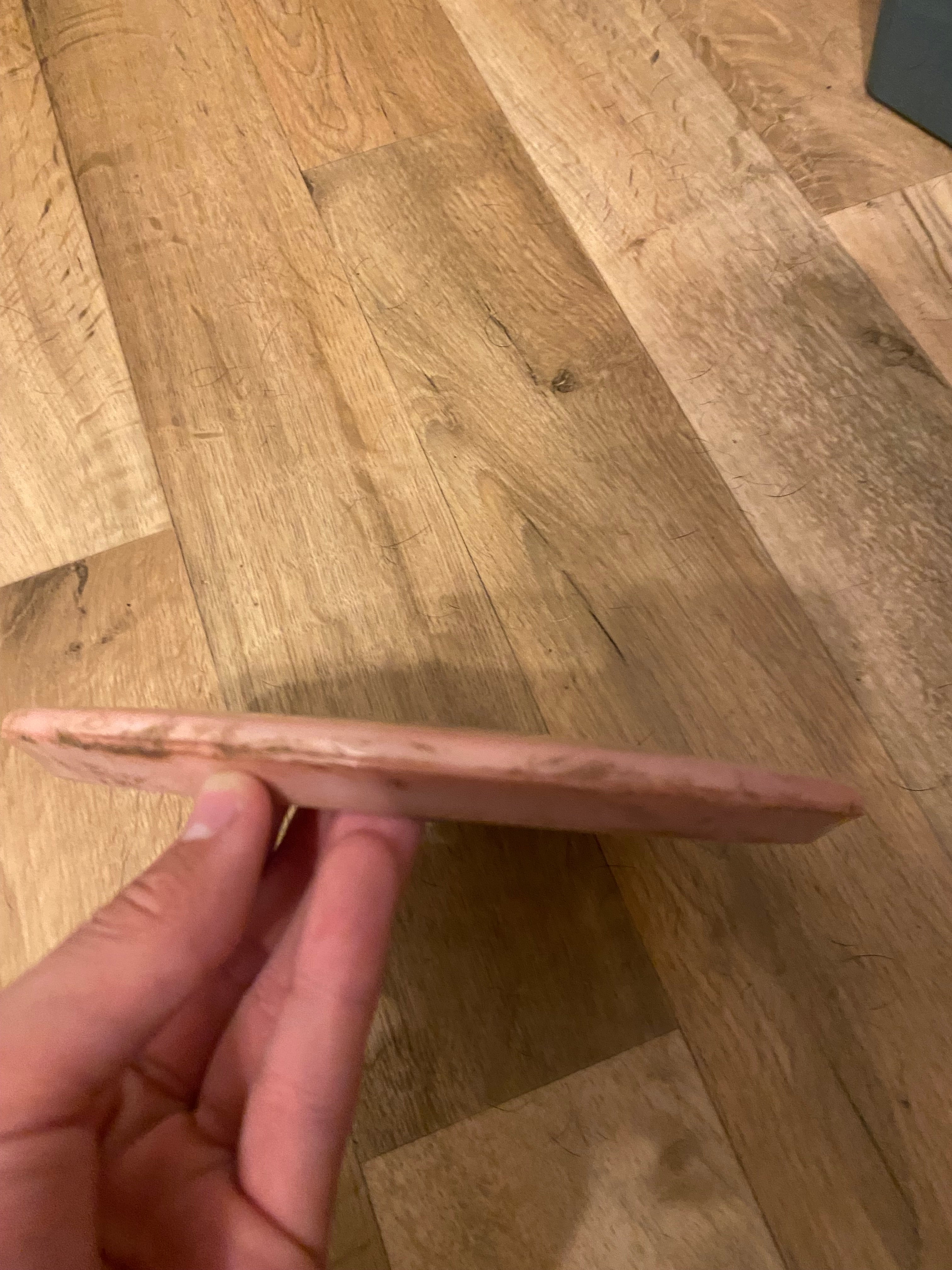 Prodigy Disc 500 A2 (Käytetty)