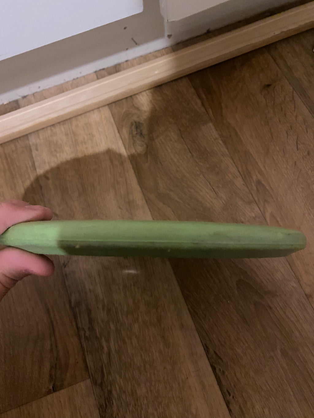 Innova R-Pro PIG (Käytetty)